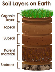 Wall Mural - diagram showing soil layers on earth