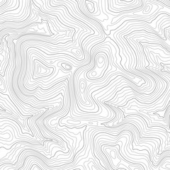 Wall Mural - light topographic line contour map background, stock vector illustration