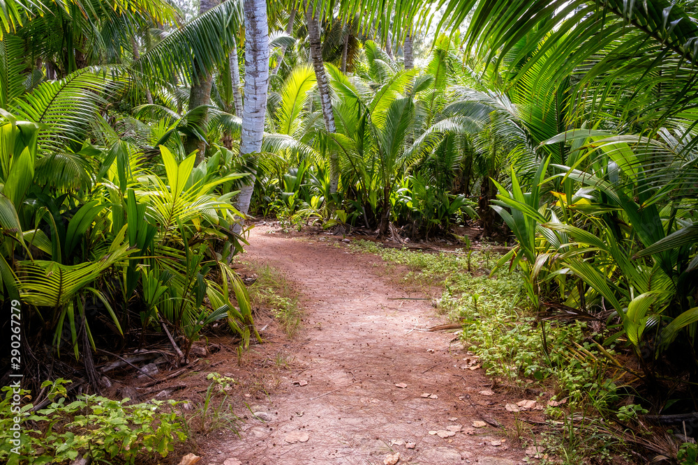 Ground rural road in the middle of tropical jungle. - obrazy, fototapety, plakaty 