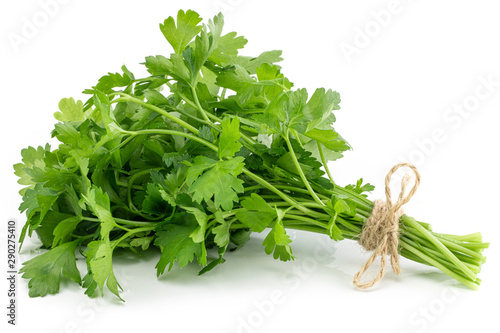 Fotomural bunch fresh parsley isolated on white background
