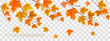 Nature autumn frame with colorful leaves and raindrops on transparent background. Vector