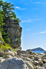 Wall Mural - Landscape-a cliff with larch trees