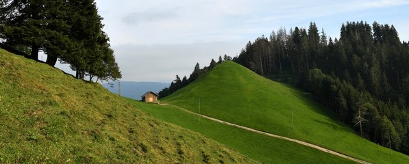 Wall Mural - atzmännig