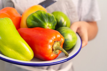 Wall Mural - red pepper in  hands close-up