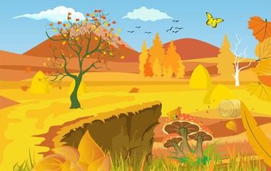 Wall Mural -  landscapes of Countryside in autumn. mid autumn with field, blue sky, forests, grass and leaves falling from trees in yellow foliage. Pretty landscape in fall season.