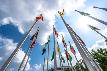 Wall Mural - flags with blue sky