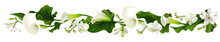 Flowers. Floral Background. Orchids. Calla. White. Green Leaves. Horizontal Pattern. Lilies.