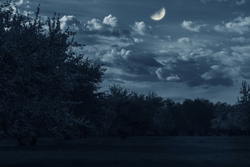 Wall Mural - big moon on a dark background