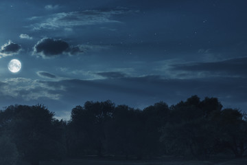 Wall Mural - big moon on a dark background