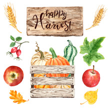 Watercolor Autumn Harvest Illustration With Wooden Gathering Crate And Pumpkins Set, Isolated On White Background. Fall Season Vegetables, Wood Sign, Apples, Leaves, Wheat, Basket. Botanical Painting.
