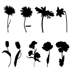 Silhouette set of spring flowers, black color, isolated on white background