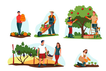 Fall harvesting, farming concept. Vector flat cartoon illustration. Farmers harvest autumn vegetables and fruits