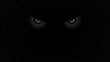 Halloween staring scary spooking evil eyes on dark grunge background