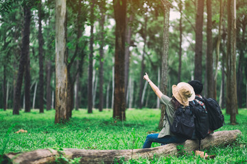 Wall Mural - A group of travelers sitting on a log and looking into a beautiful pine woods