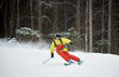 Young skier performing skiing trick. Ski training during snowfall. Carving skiing technique. Tall trunks of trees and dark forest on background. Winter activities, freestyle, adventure, thrill concept