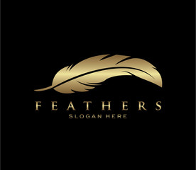 Wall Mural - feather logo design template