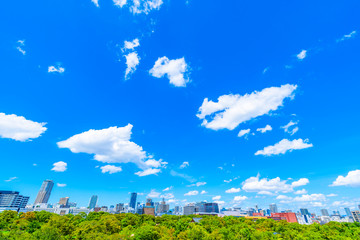 Wall Mural - 青空 大阪 都市風景