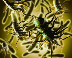 Wall Mural - 3D illustration of bacterium Listeria monocytogenes, gram-positive bacterium with flagella which causes listeriosis