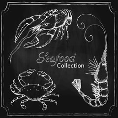 chalkboard seafood menu background. hand drawn blackboard seafood collection. background template with different sea animals on chalkboard design for shop, restaurant, menu, poster, banner.