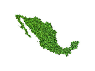 vector isolated simplified illustration icon with green grassy silhouette of mexico map. white backg