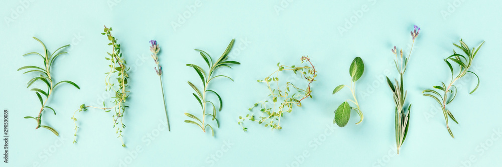 Culinary aromatic herbs on a teal blue background. Rosemary, thyme, lavender, sage, shot from above, a flat lay panorama - obrazy, fototapety, plakaty 