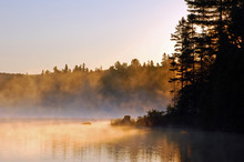 Sunrise And Mist In Beautiful Lake In Algonquin Park