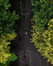 Aerial Photo Of Road Between Trees