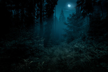 full moon over the spruce trees of magic mystery night forest. halloween backdrop.