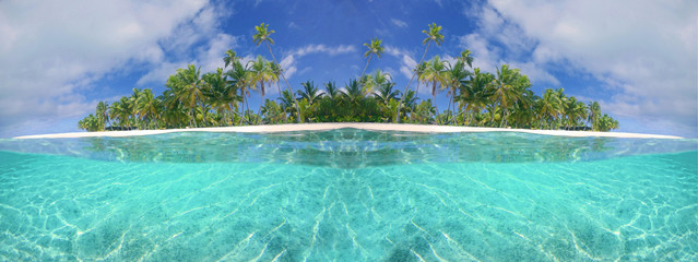 Wall Mural - HALF UNDERWATER: Panoramic view of a tropical sandy beach and turquoise ocean.