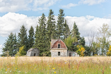 Wall Mural - front view of an abandoned farmyard