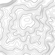 © Olga - Topographic map background. Grid map. Abstract vector illustration.