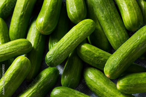 Fotomural Raw Green Organic Mini Cocktail Cucumbers