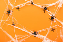 Halloween Background With Spider Web And Spiders As Symbols Of Halloween On The Orange Background. Happy Halloween Concept. Frame.