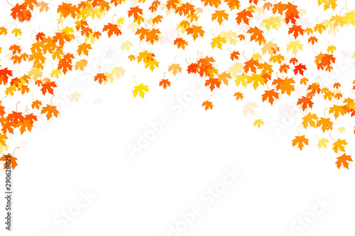 Multi colored autumn leaves on white background