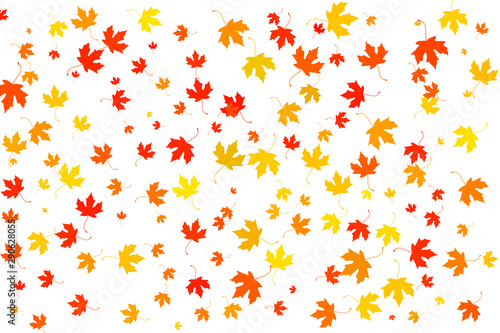 Multi colored autumn leaves background