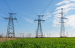 © yelantsevv - Electrical net of poles on a panorama of blue sky and green meadow