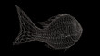 Metallic shade wire-frame network structure connection with line and dot on fish shape with 3d rendering.