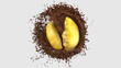 The Real Half of Durian drop down into water chocolate splash from back on alpha background include work path with 3d rendering.