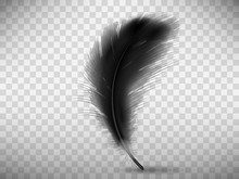 Black Fluffy Feather With Shadow Vector Realistic Illustration, Isolated On Transparent Background. Feather From Wing Of Bird Or Fallen Angel, Symbol Of Softness, Design Element