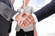 © ASDF - friendly handshake of business people.