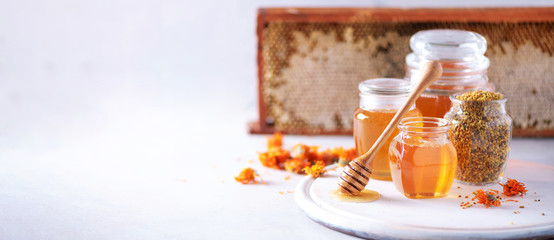 Wall Mural - Herbal honey in jar with dipper, honeycomb, bee pollen granules, calendula flowers on grey background.