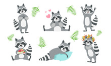 Cute Funny Raccoons Collection, Adorable Funny Forest Animal Character In Different Situations Vector Illustration