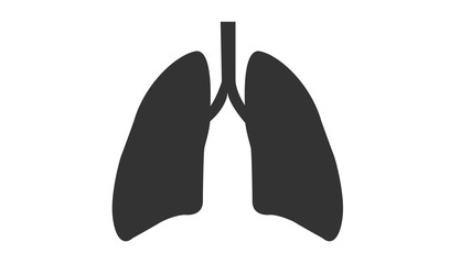   Human lungs isolated on black and white colors