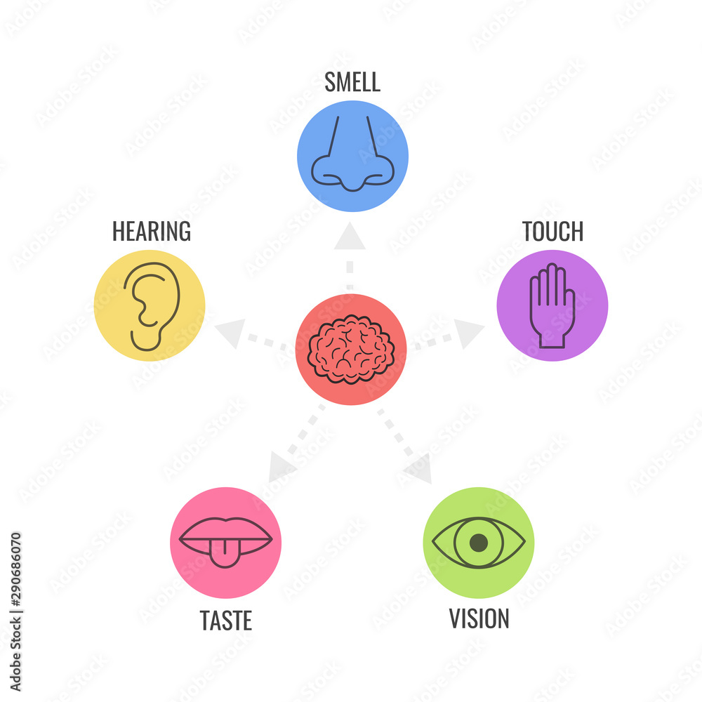 Icon set of five human senses. Simple line icons. Vector illustration. - obrazy, fototapety, plakaty 
