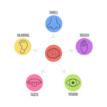 Icon Set Of Five Human Senses. Simple Line Icons. Vector Illustration.
