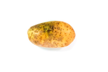 Canvas Print - Potato Close up for isolated