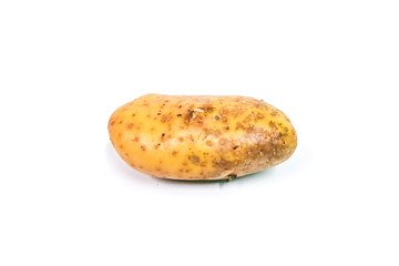 Canvas Print - Potato Close up for isolated