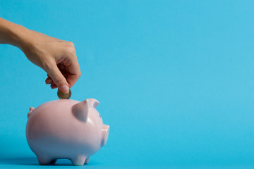 Wall Mural - woman hand putting money coin into piggy for saving money wealth and financial concept