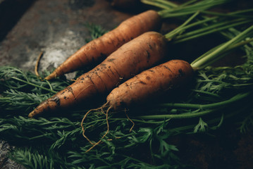 Sticker - Nice Carrots with haulm on the black rustic background.