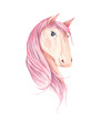Horse head with pink colored hairstyle. Hand drawn animal art. Isolated on white background. Watercolor illustration.